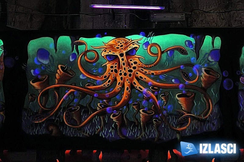 Liquid Fire @ Future Nature