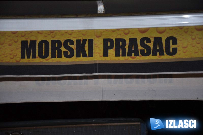 Morski prasac